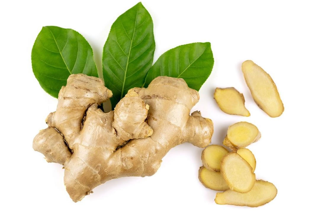 Ginger: The Humble Root That Warms You Up