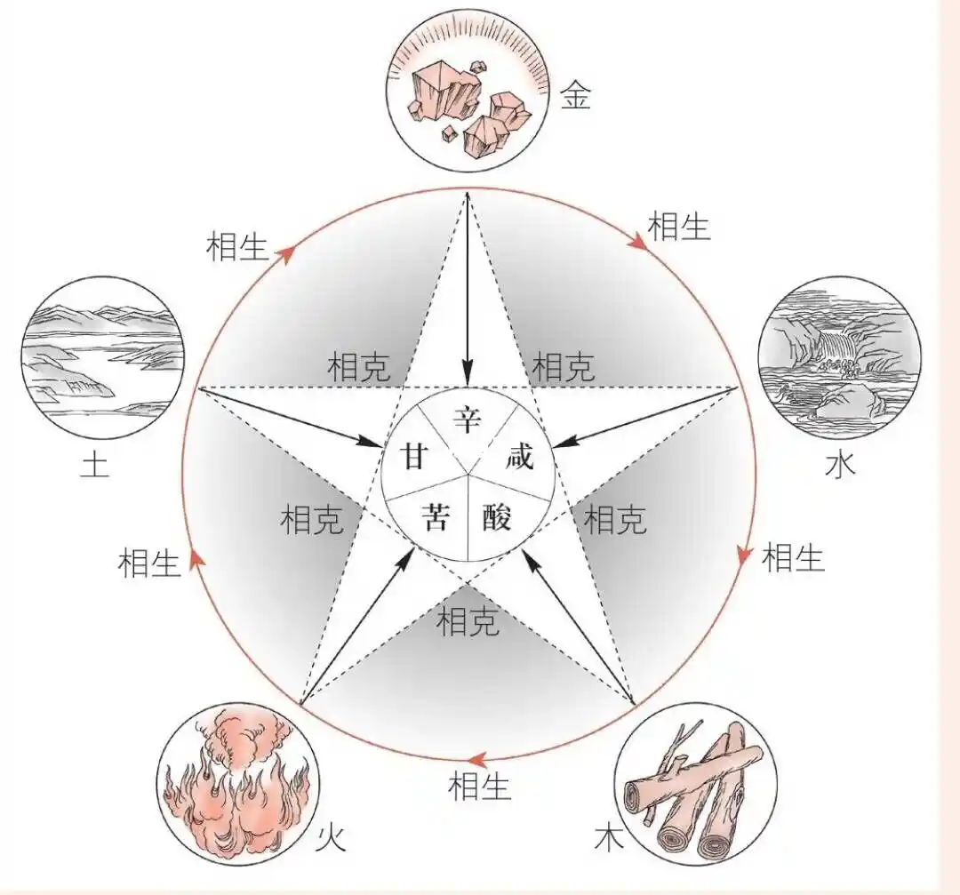 Five Flavors, Five Organs: Which One Are You Missing?